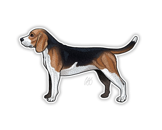 Beagle Decal