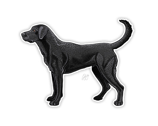 Labrador Retriever Decal