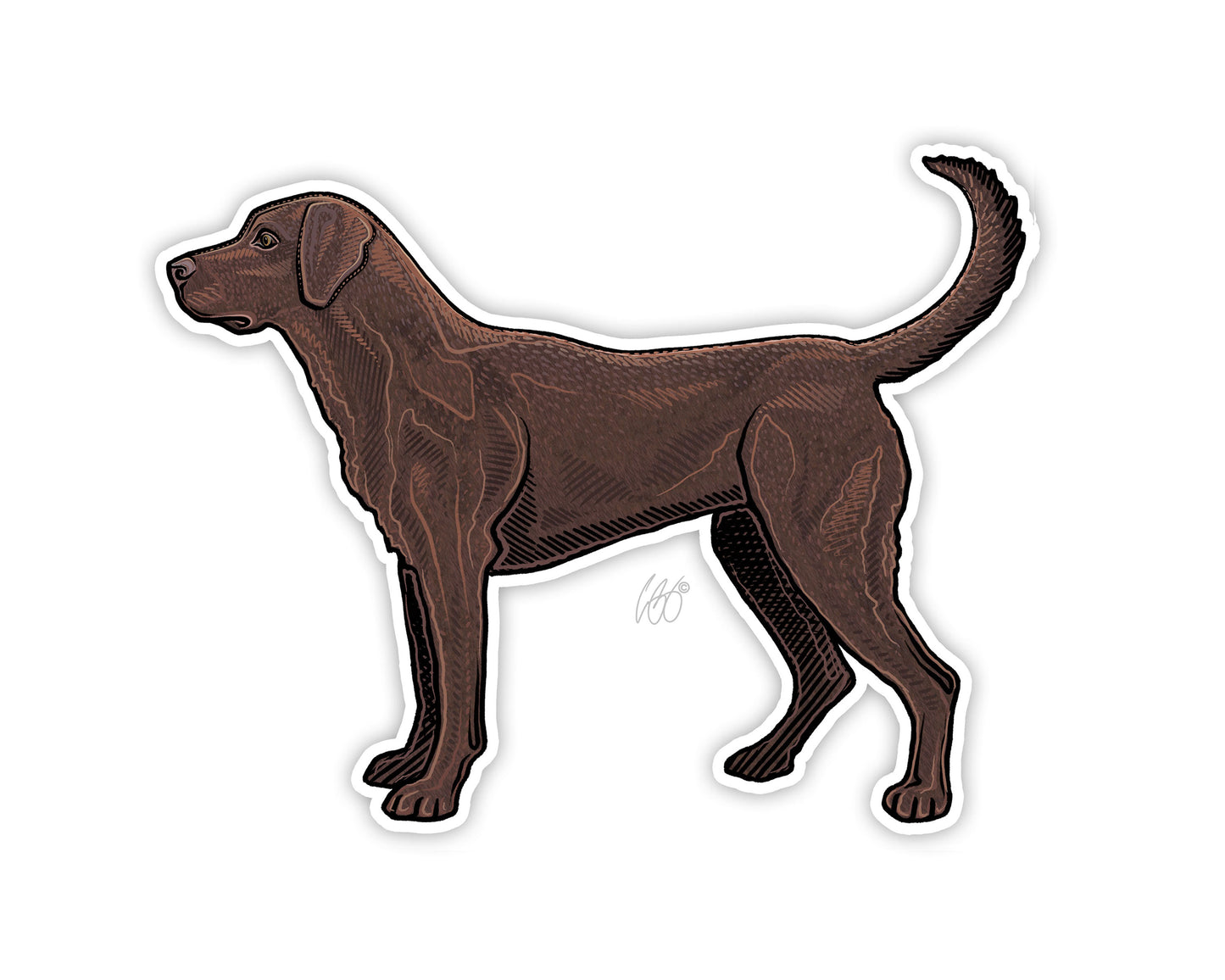 Labrador Retriever Decal