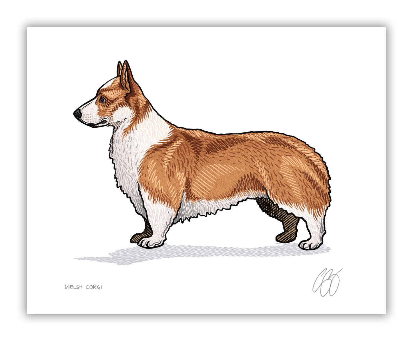 Welsh Corgi Prints