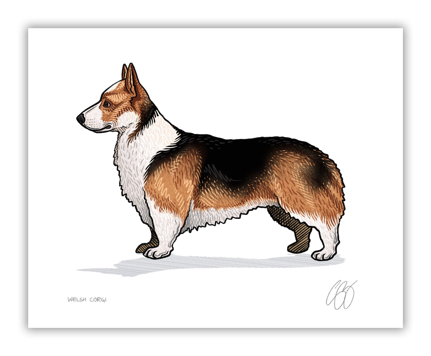 Welsh Corgi Prints