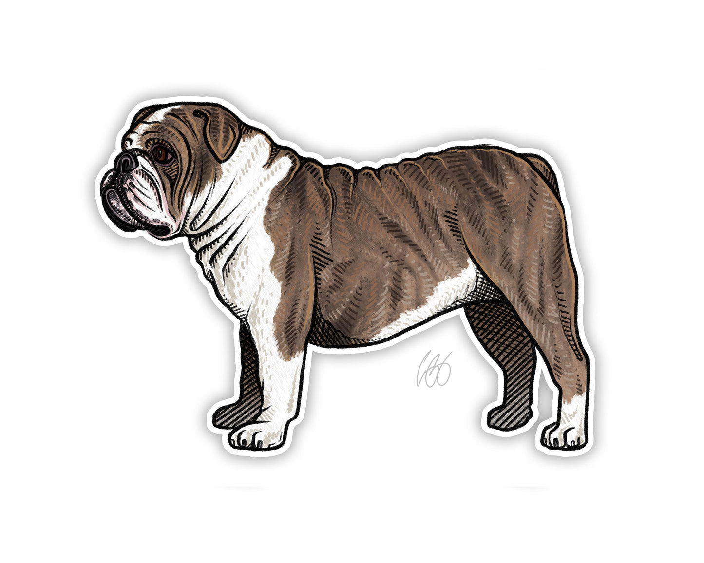 English Bulldog Decal