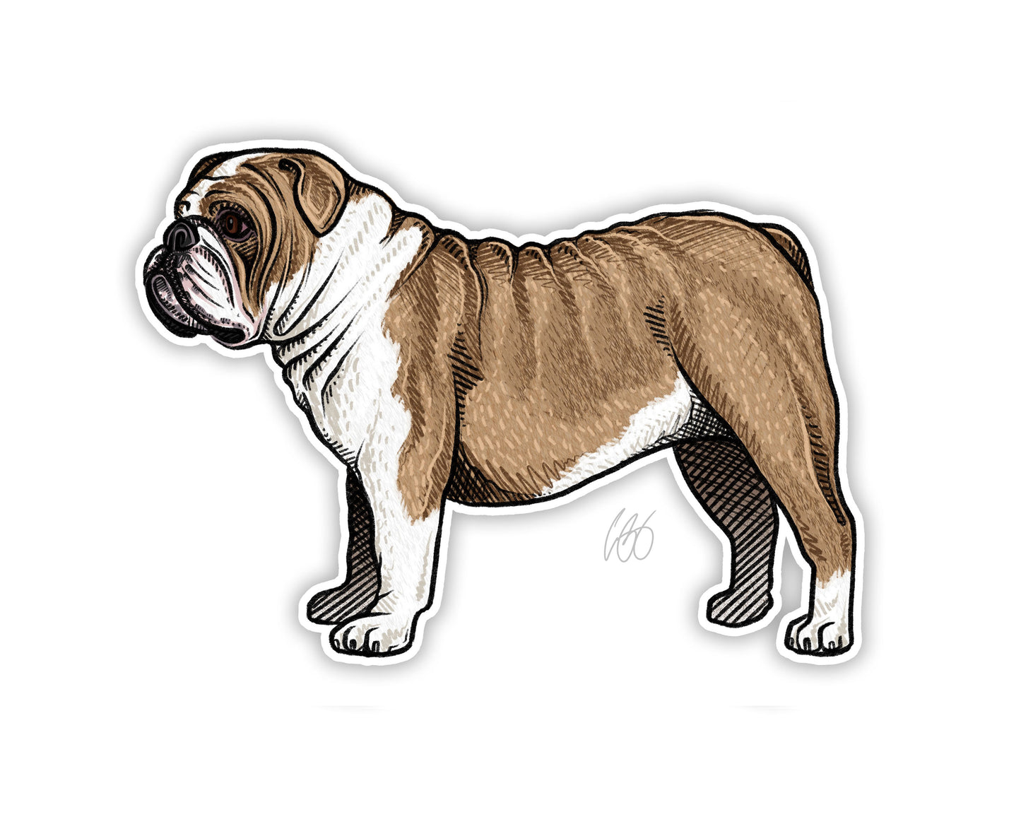 English Bulldog Decal