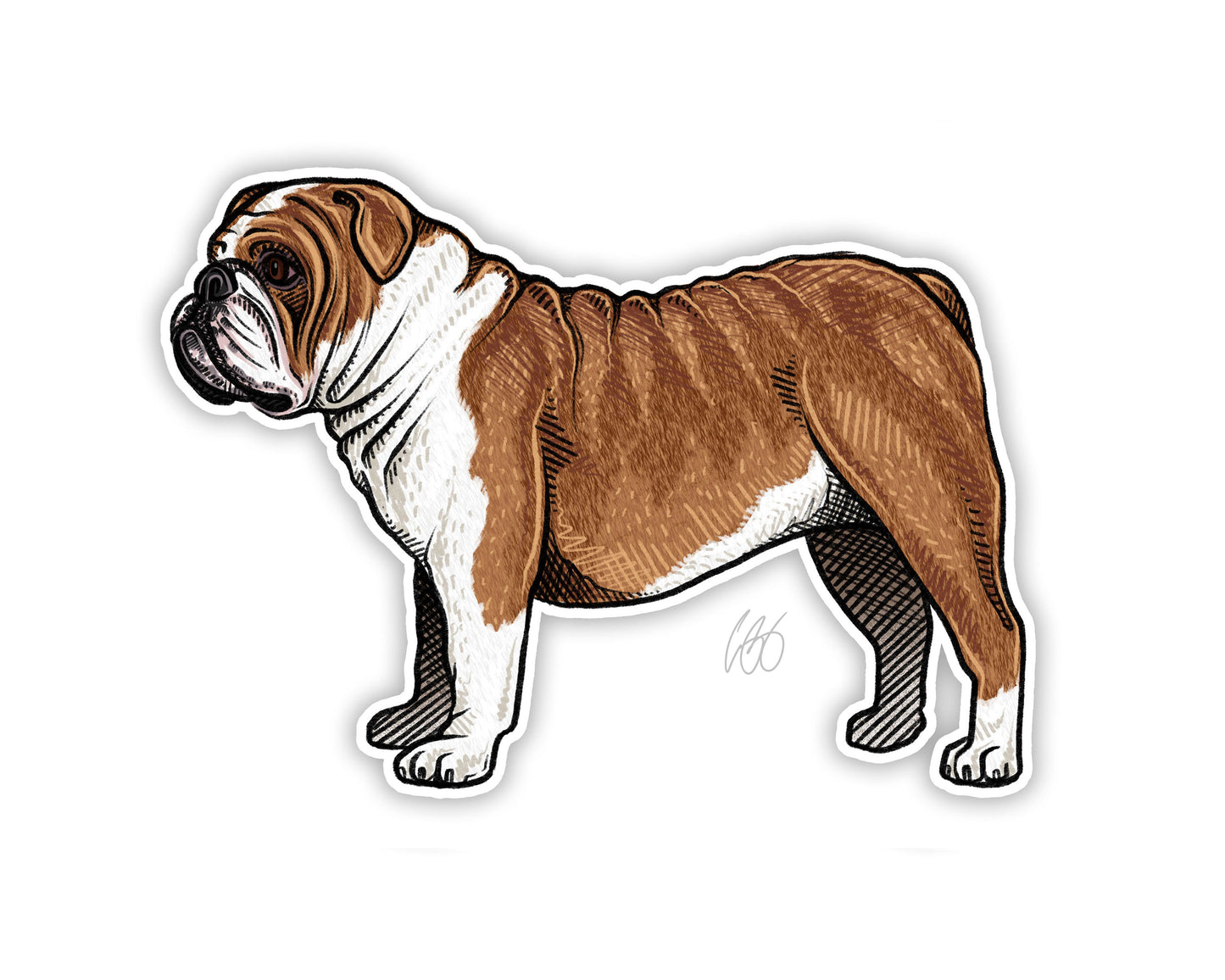 English Bulldog Decal