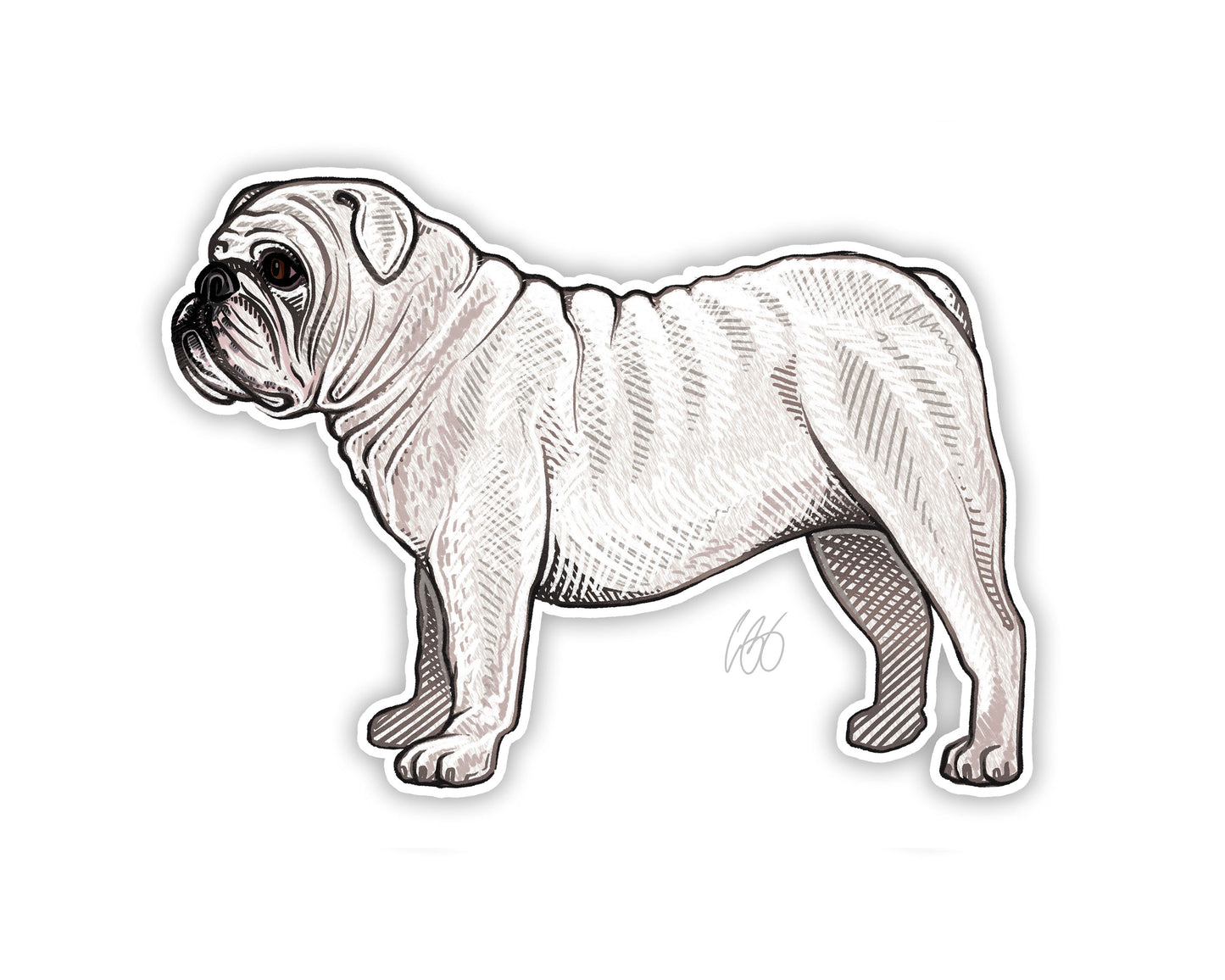 English Bulldog Decal