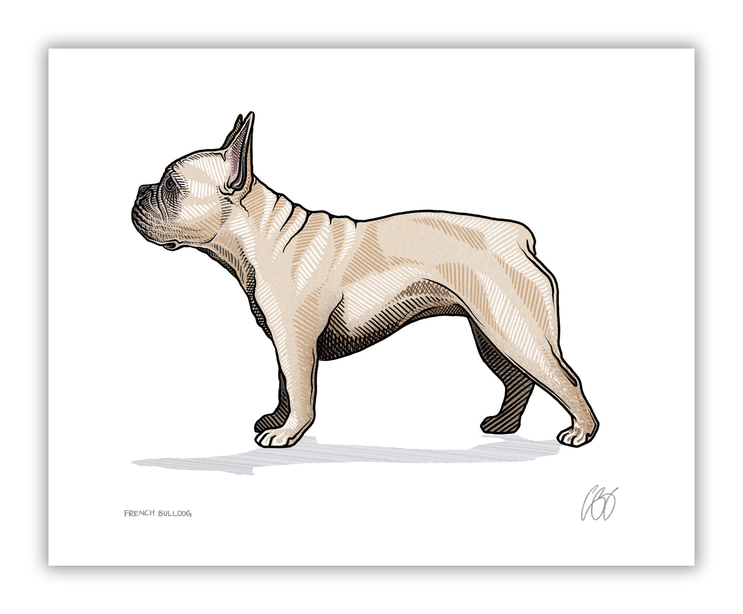 French Bulldog Prints