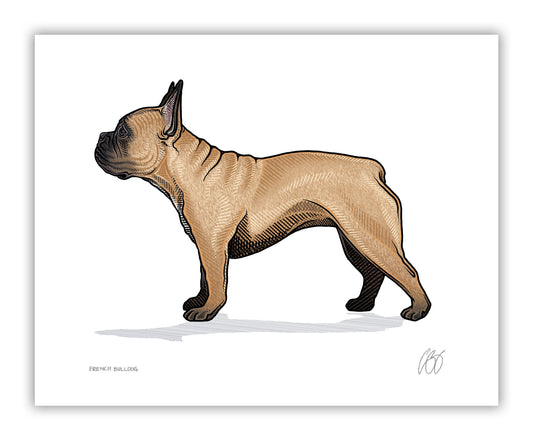 French Bulldog Prints