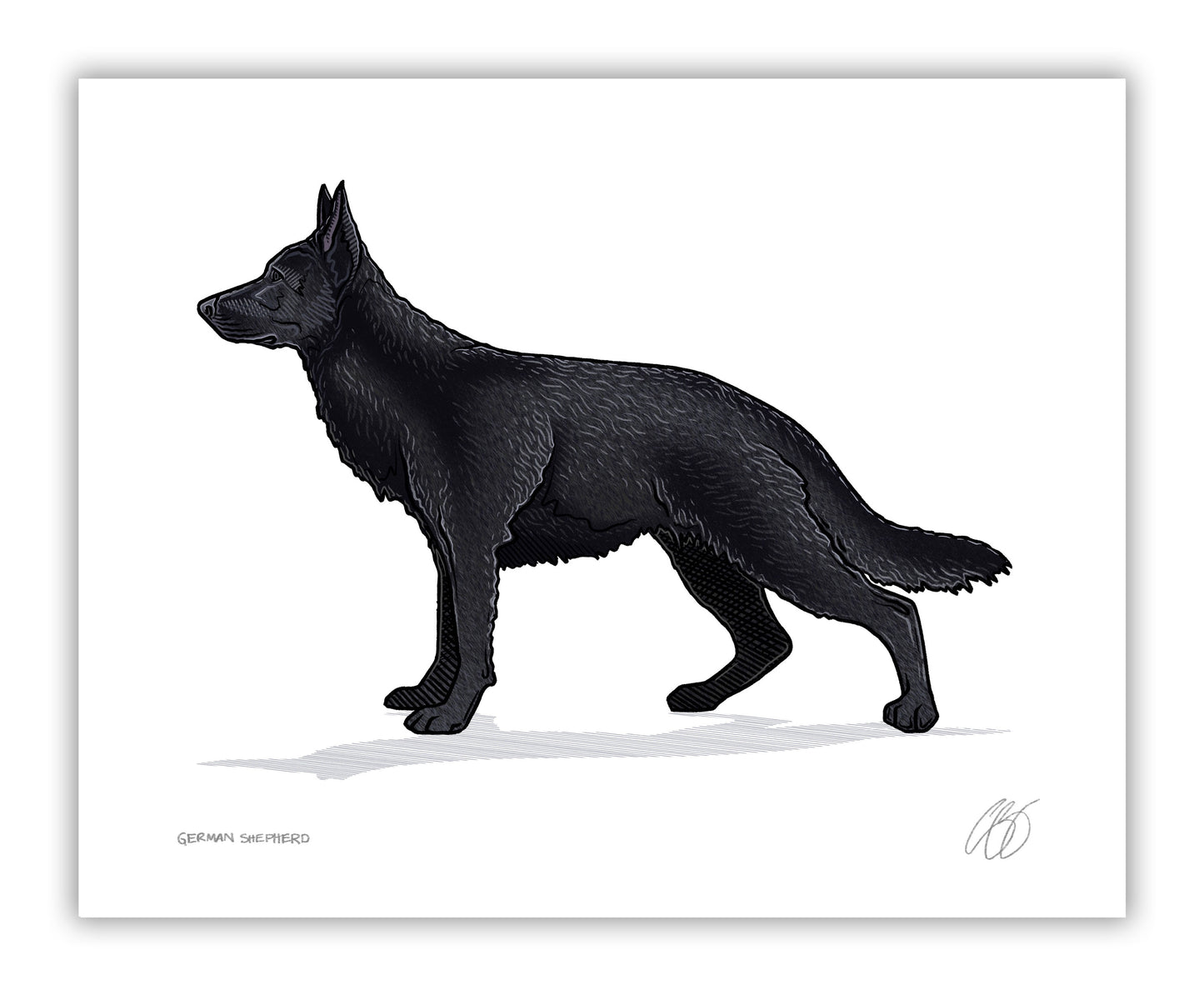 German Shepherd Prints