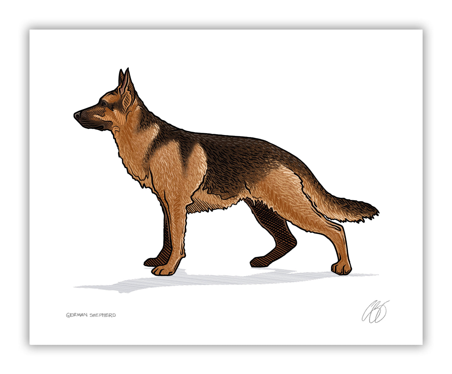 German Shepherd Prints