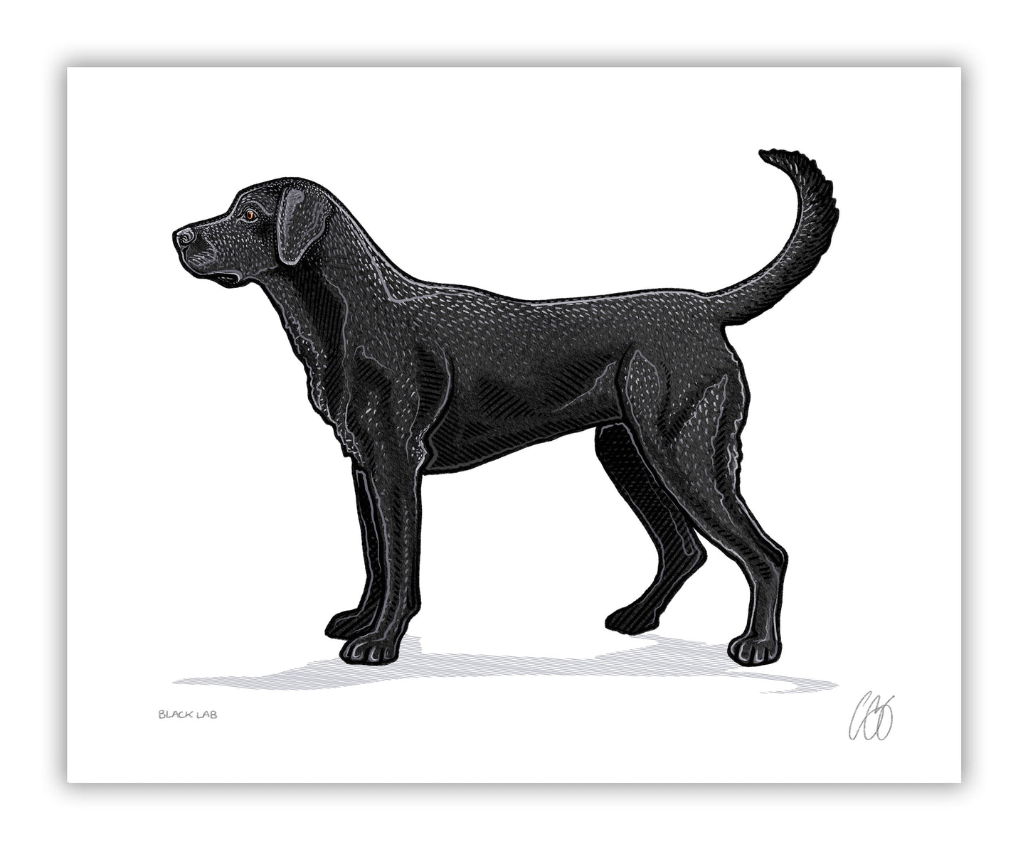 Labrador Retriever Prints