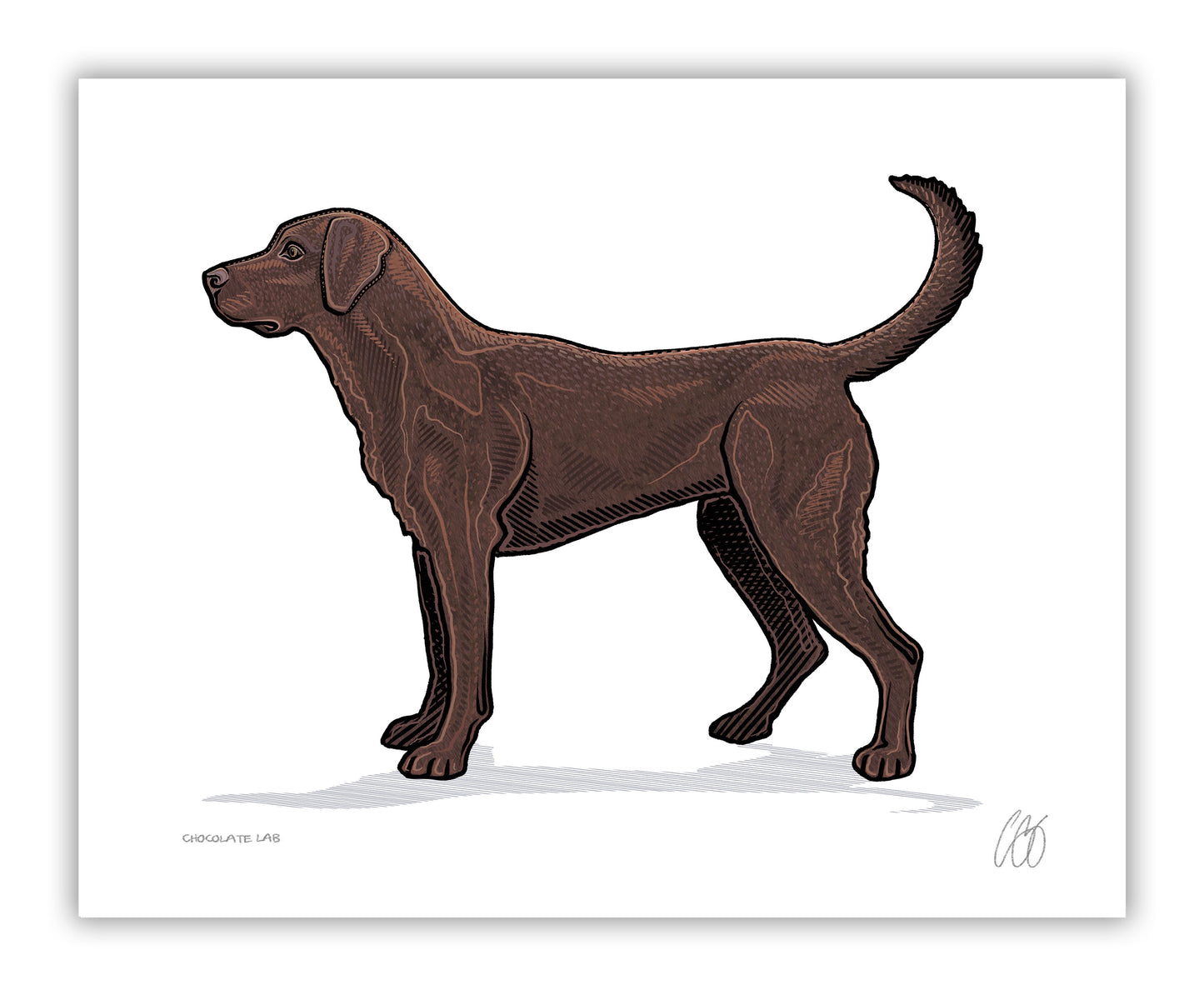 Labrador Retriever Prints