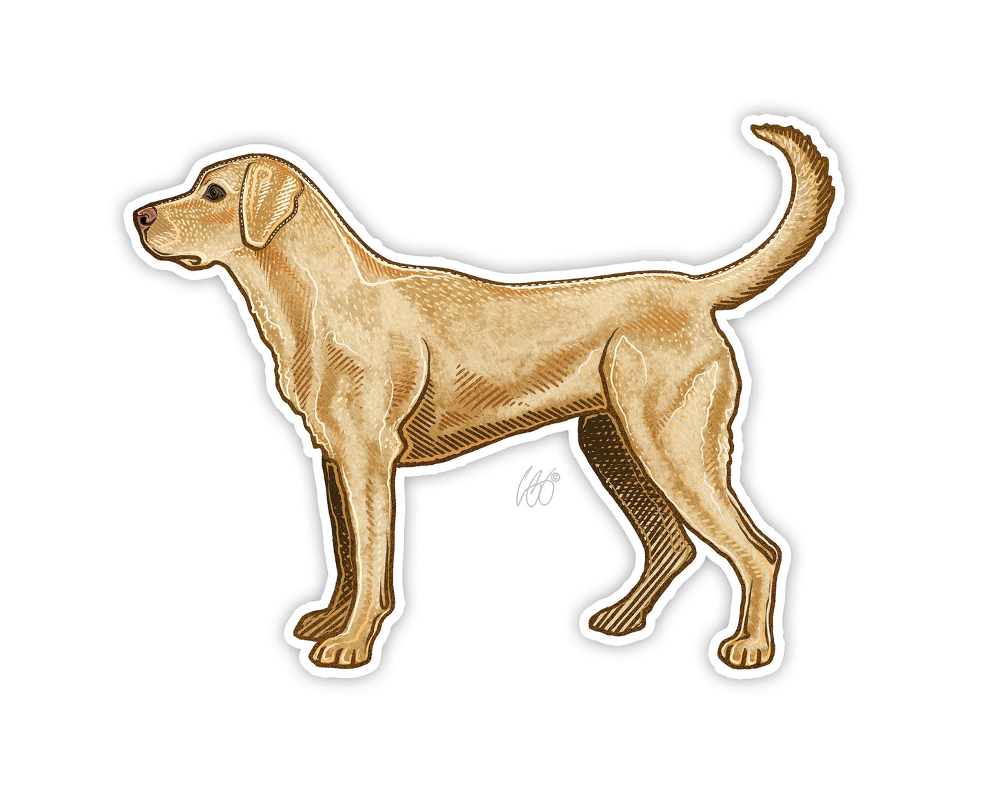 Labrador Retriever Decal